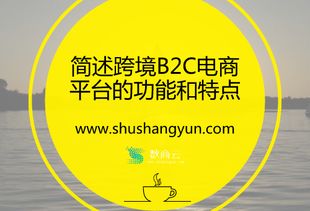 簡述跨境B2C電(diàn)商平台的功能和(hé)特點