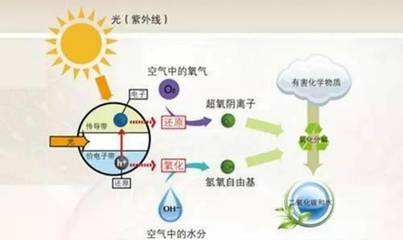 彙精光觸媒抗菌 殺菌 除甲醛 淨化空(kōng)氣火(huǒ)爆促銷中