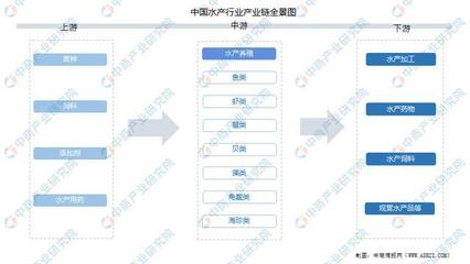 2022年中國水(shuǐ)産行(xíng)業産業鏈上(shàng)中下遊市場(chǎng)預測分析